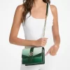 Greenwich Small Ombré Signature Logo Crossbody Bag Greenwich Small Ombré Signature Logo Crossbody Bag
